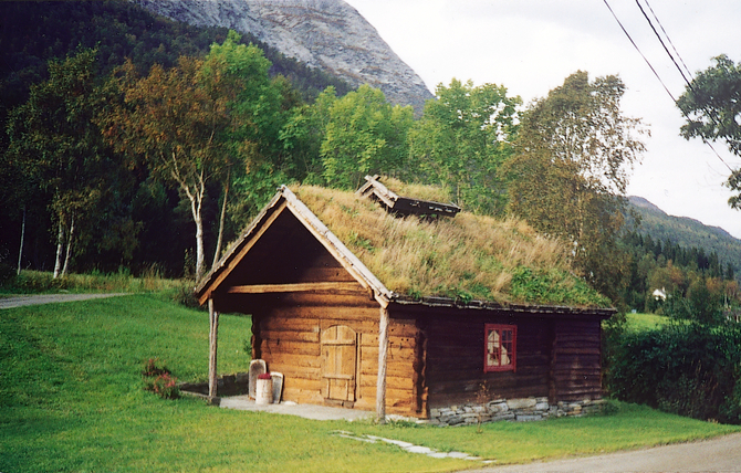 Stova i årestovene