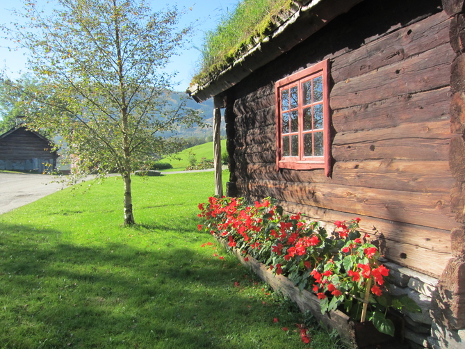Stova i årestovene