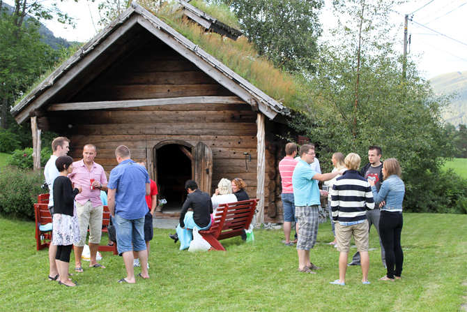 Stova i årestovene